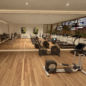 Gimnasio2
